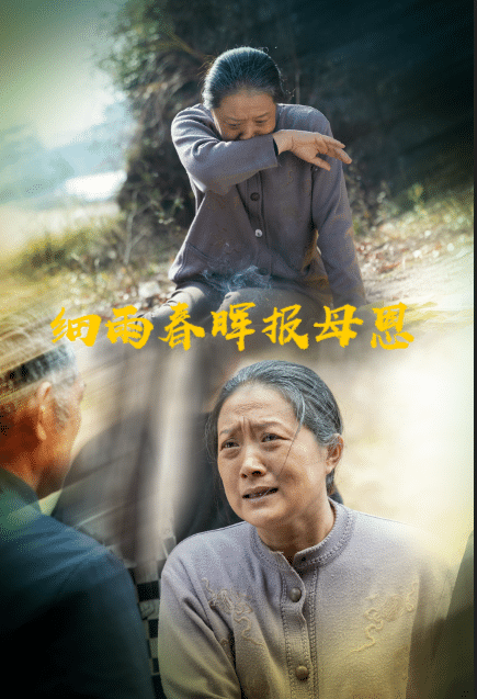 细雨春晖报母恩第9集