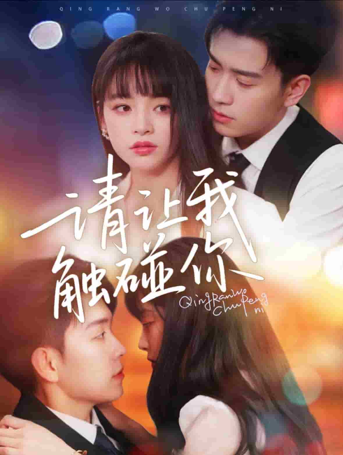 请让我触碰你第1集
