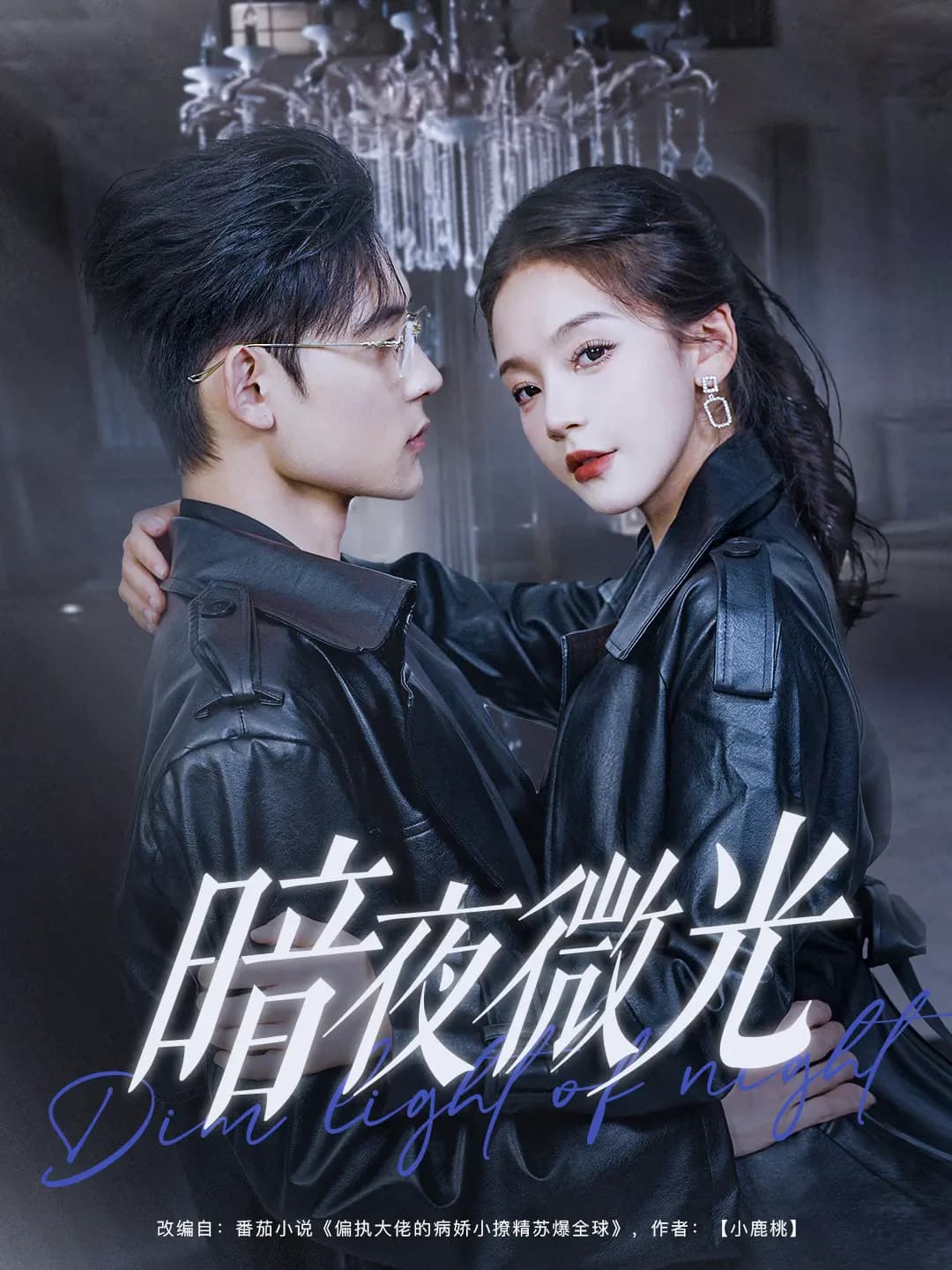 暗夜微光第9集