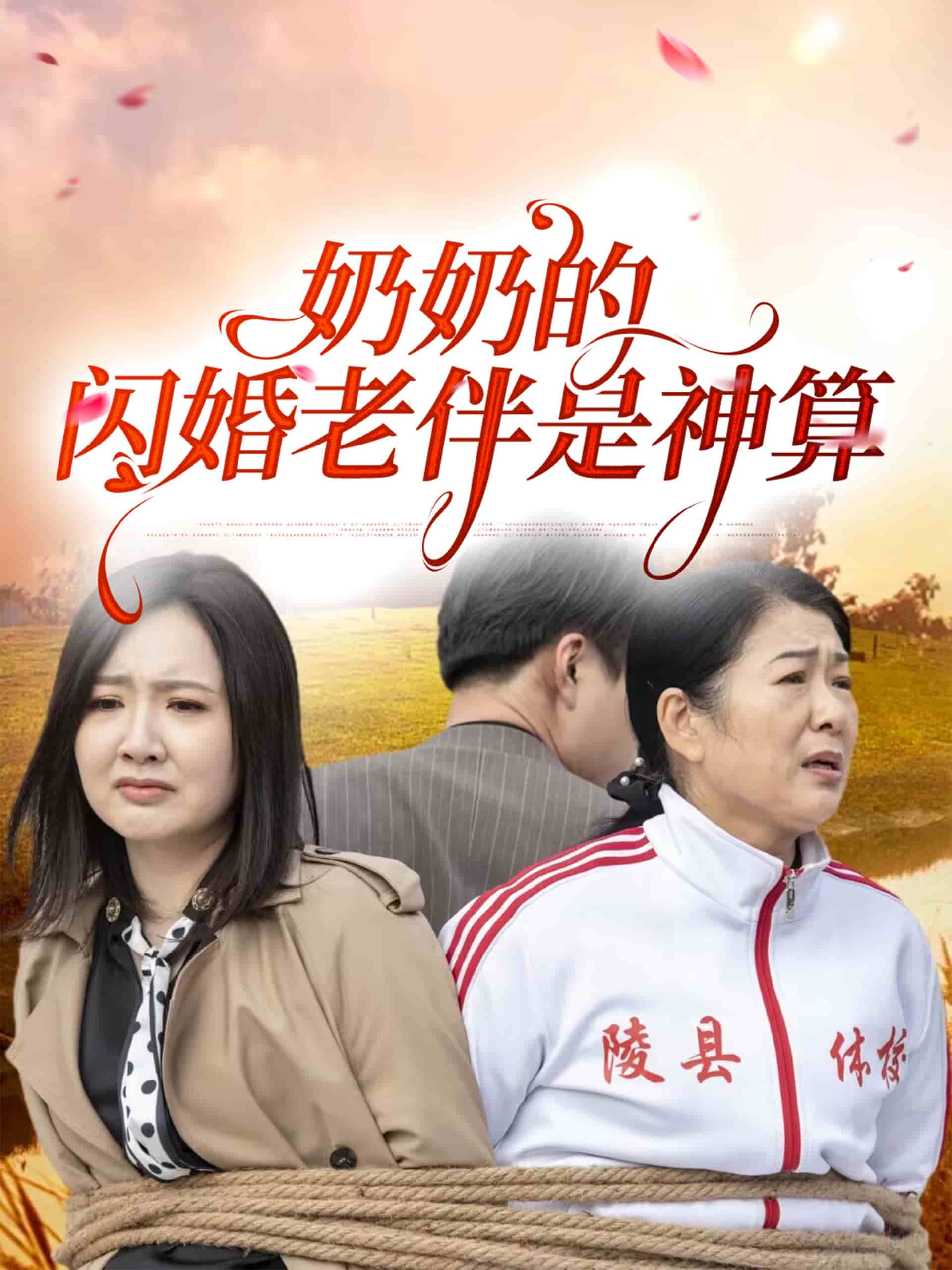 奶奶的闪婚老伴是神算第16集