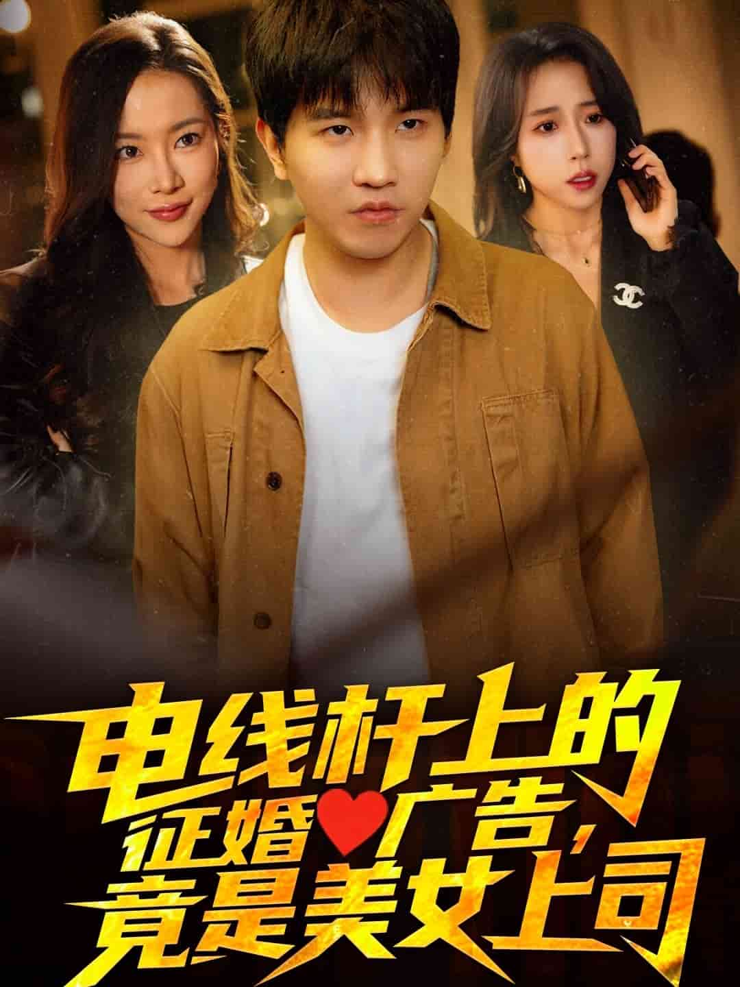 电线杆上的征婚广告，竟是美女上司第1集