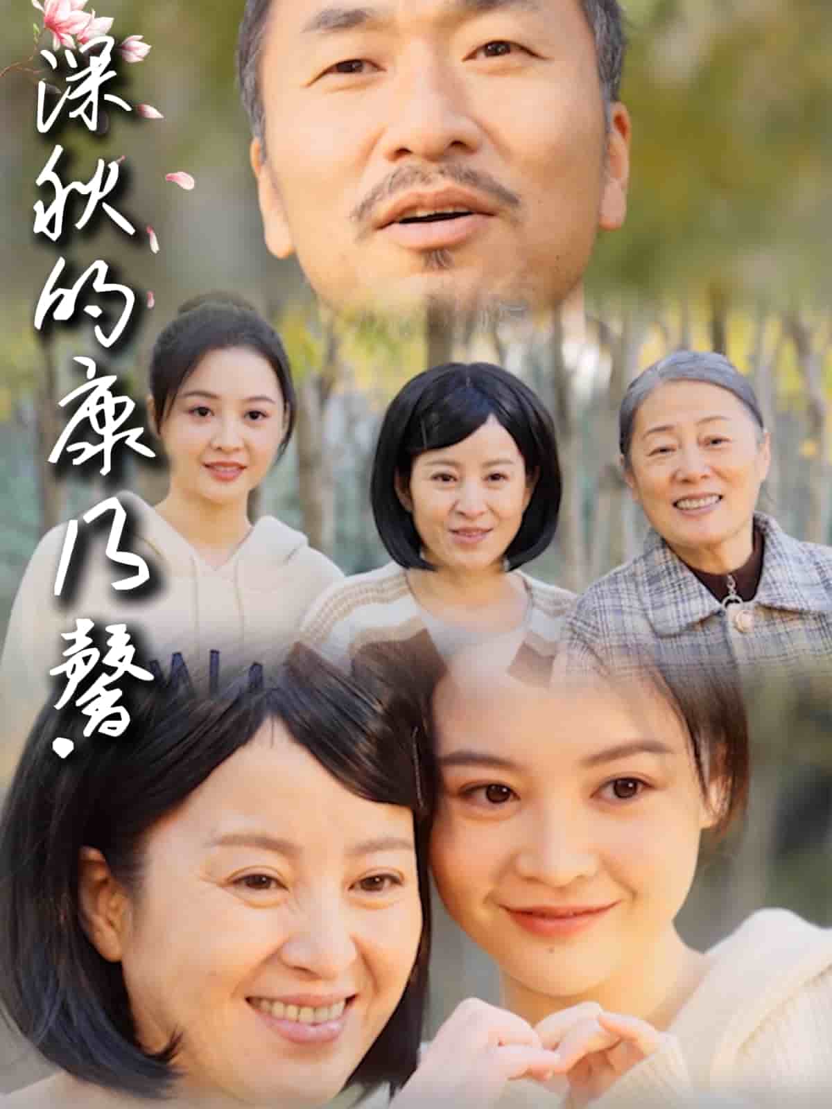 深秋的康乃馨第3集