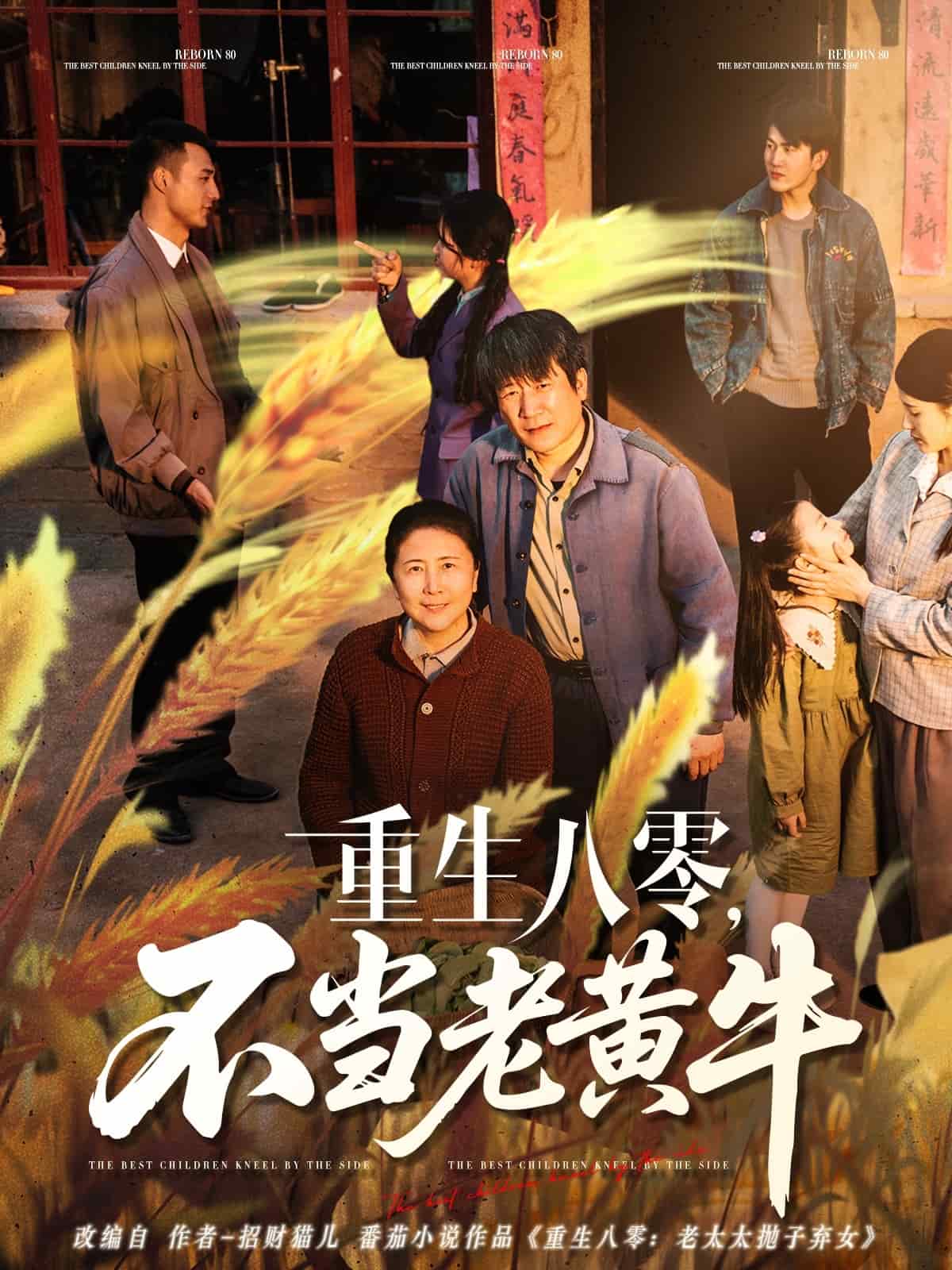 重生八零，不当老黄牛第1集