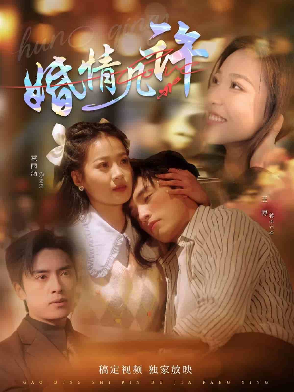 婚情几许第1集