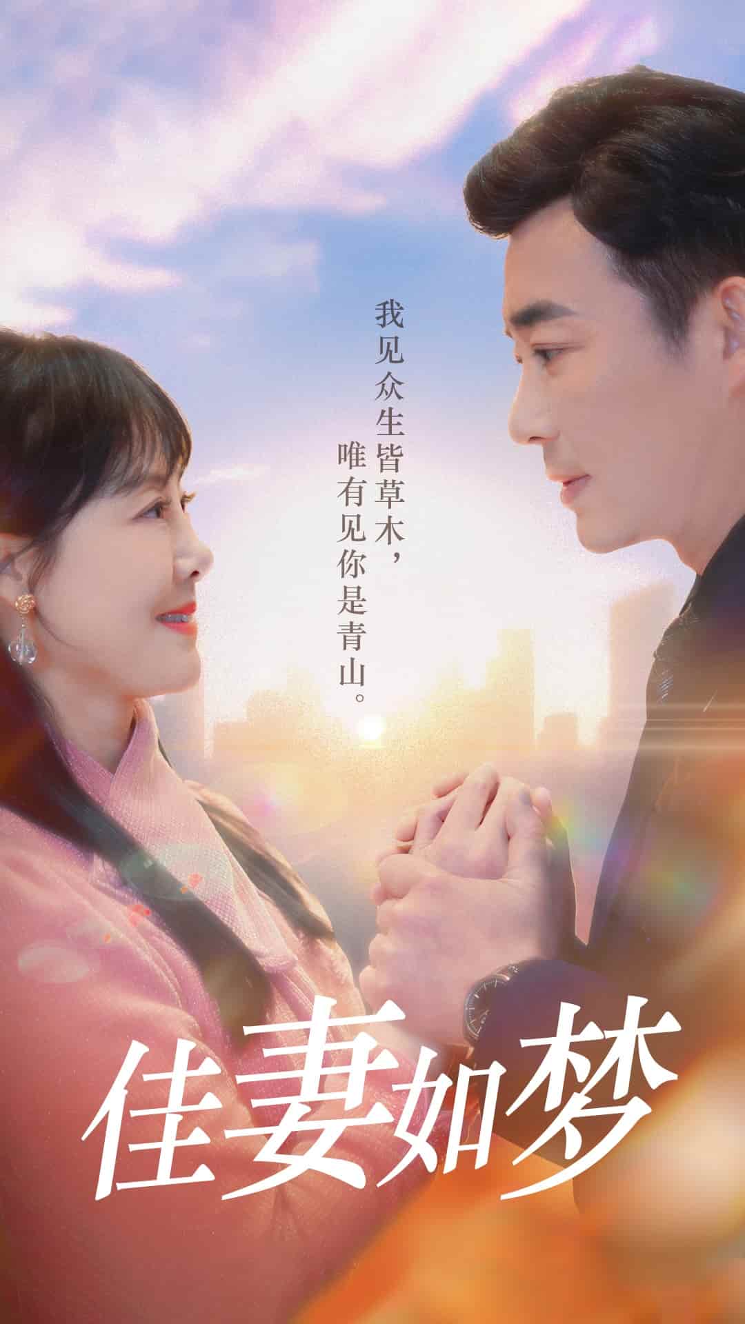 佳妻如梦第9集