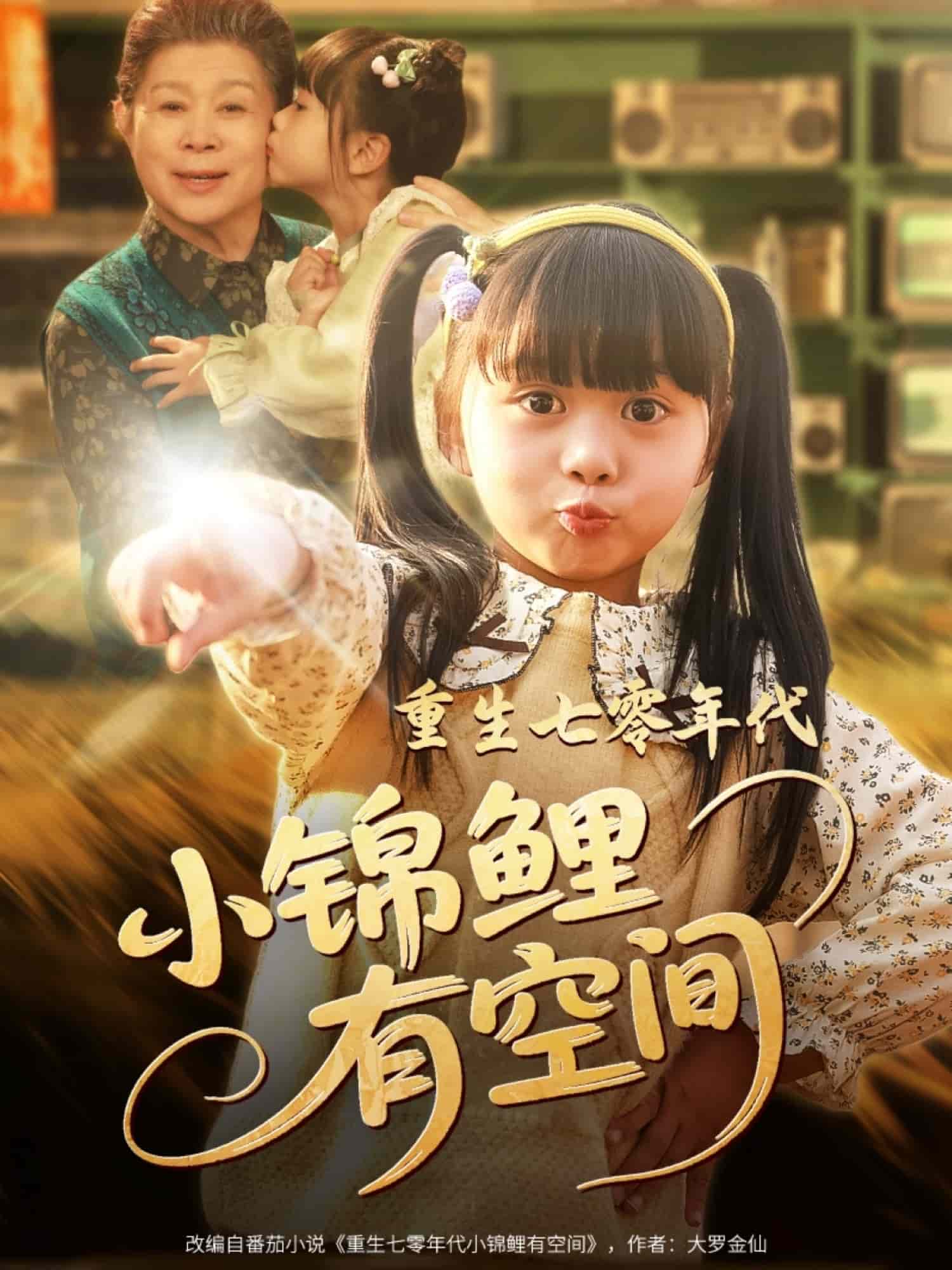 重生七零年代小锦鲤有空间第23集