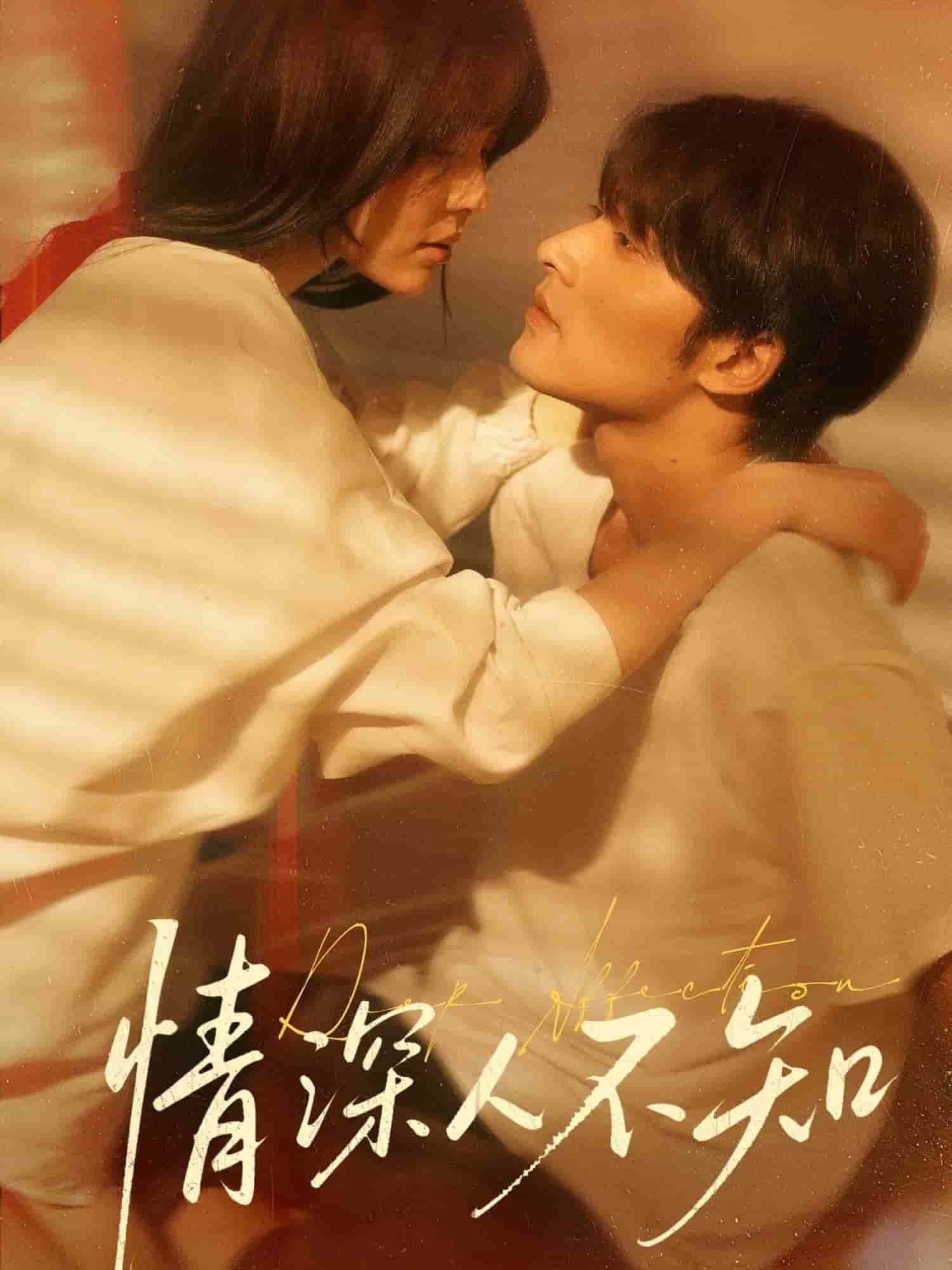 情深人不知第3集