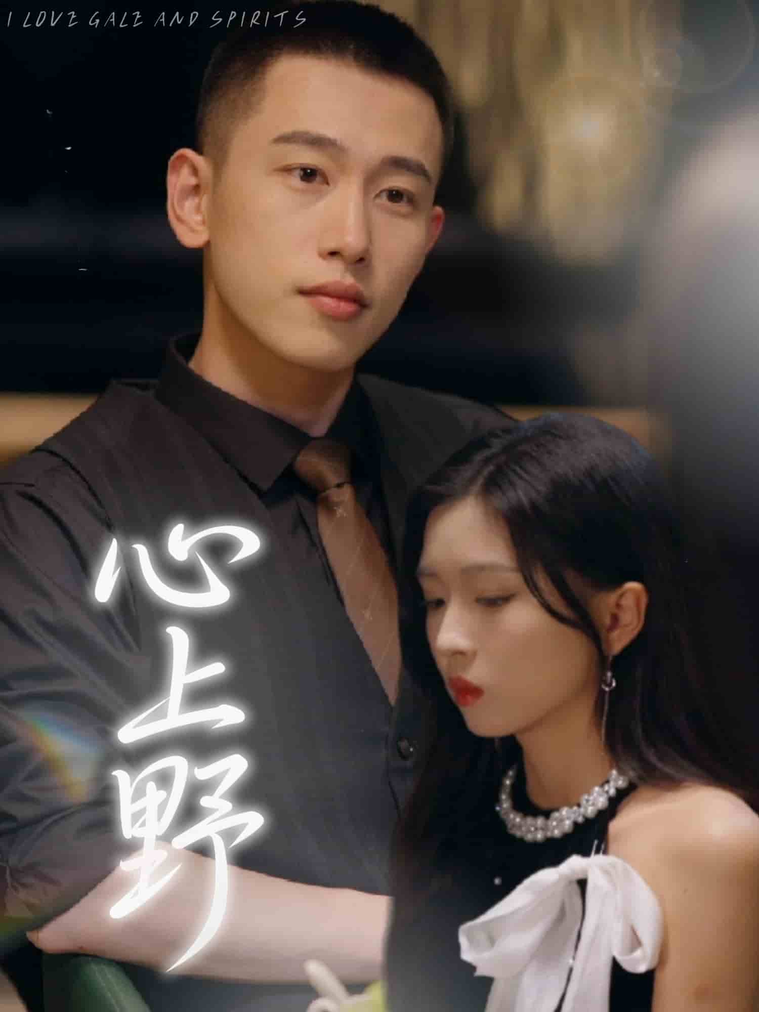 心上野第33集