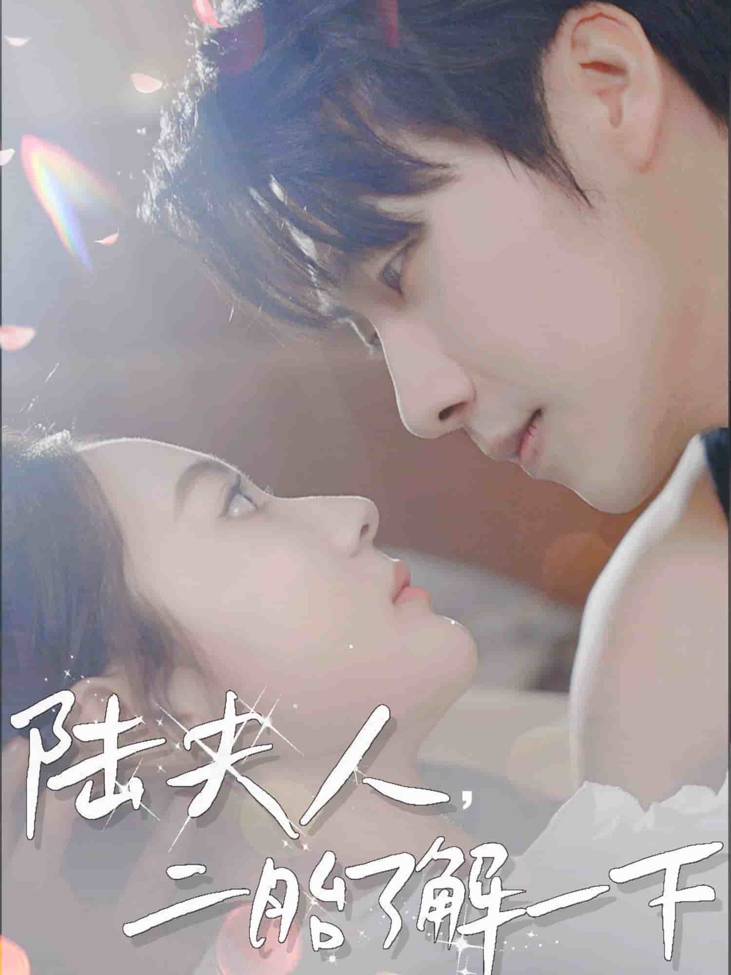 陆夫人，二胎了解一下第1集