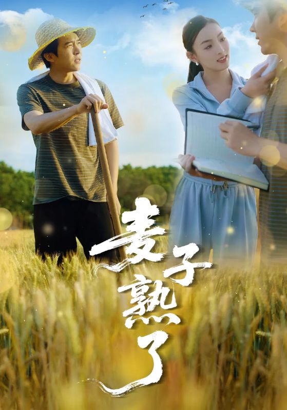 麦子熟了第1集
