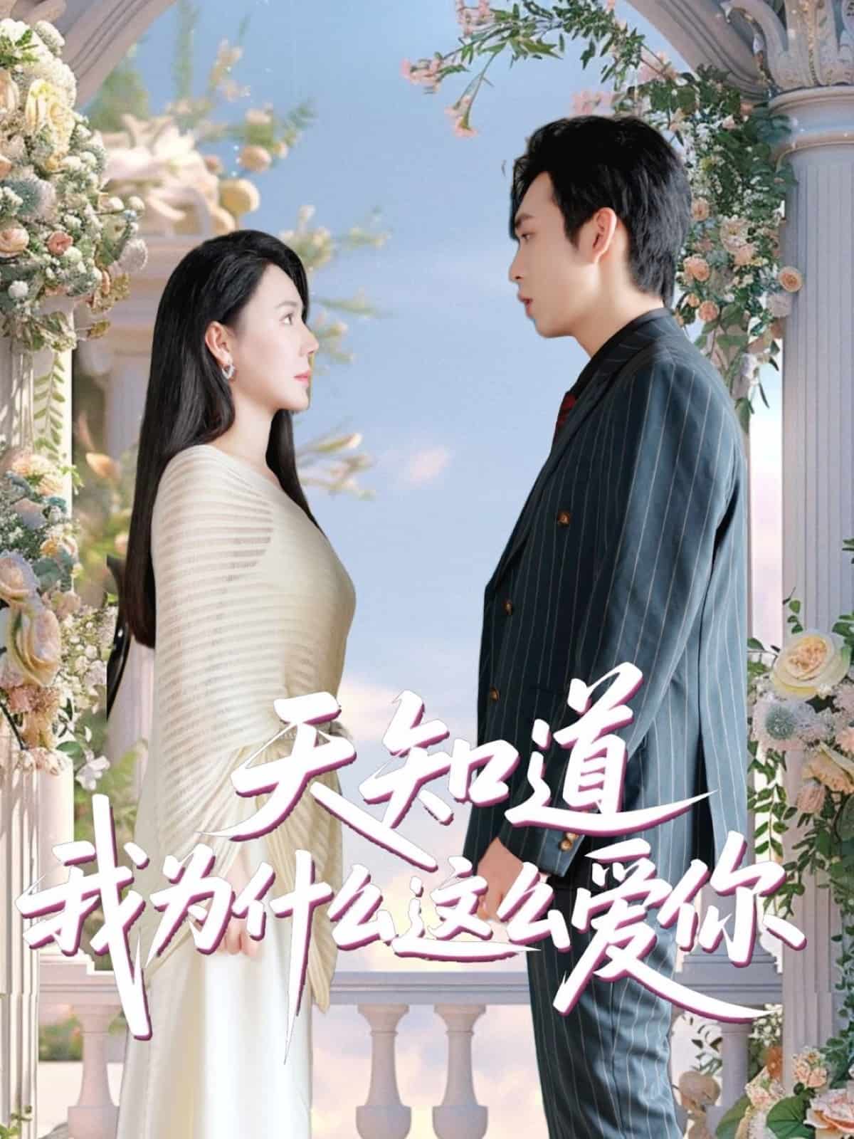 天知道我为什么这么爱你第1集