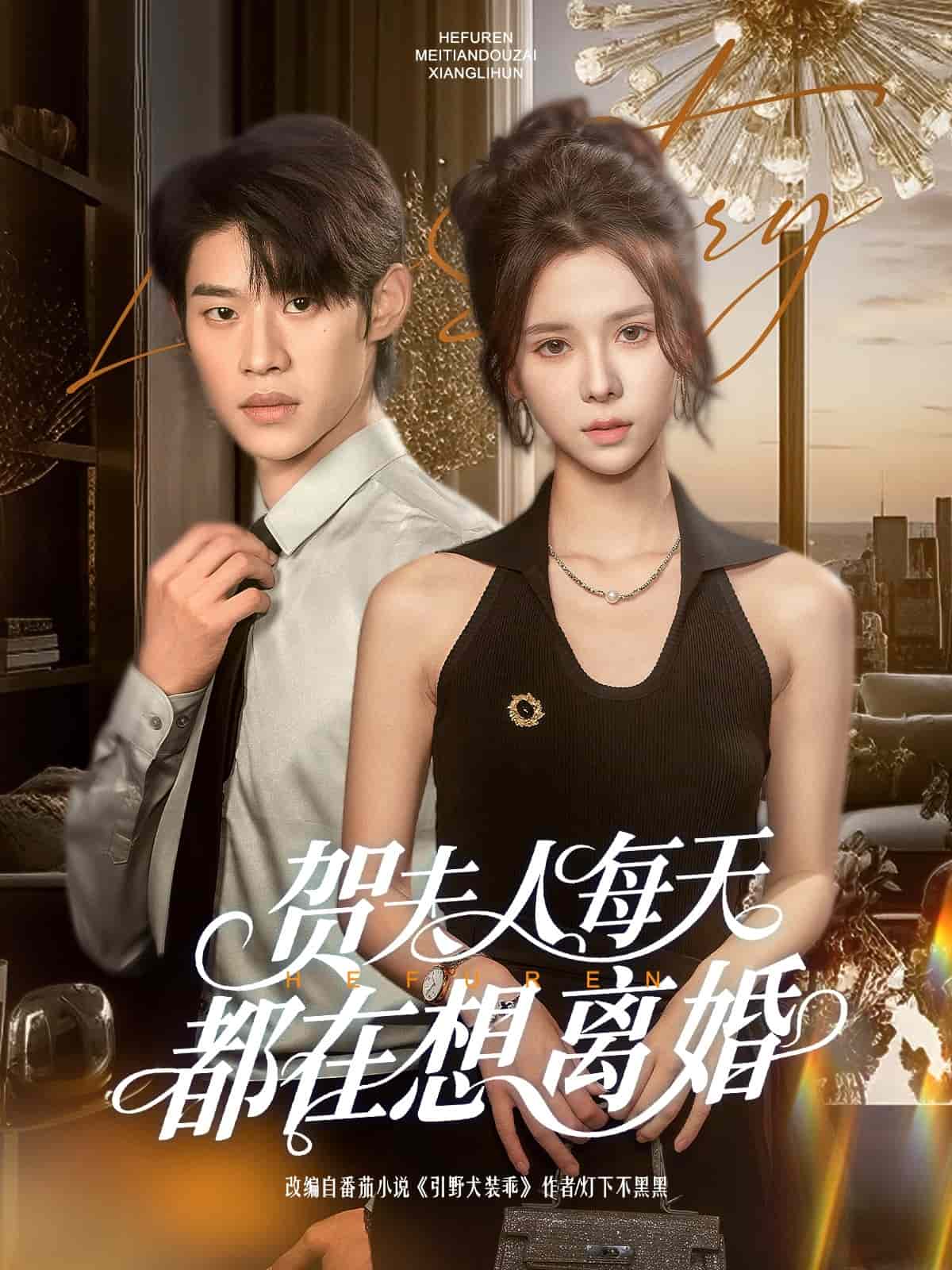 贺夫人每天都在想离婚第1集