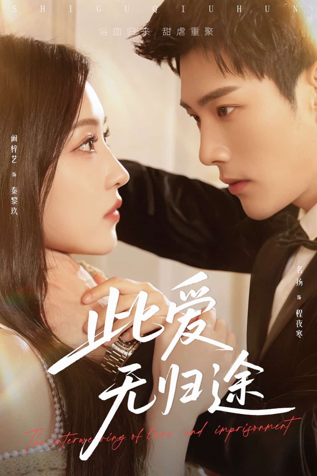 此爱无归途第25集