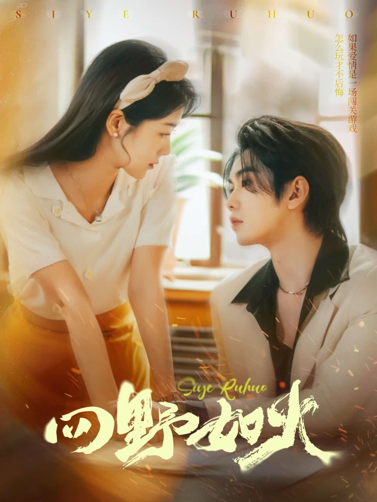 四野如火第29集