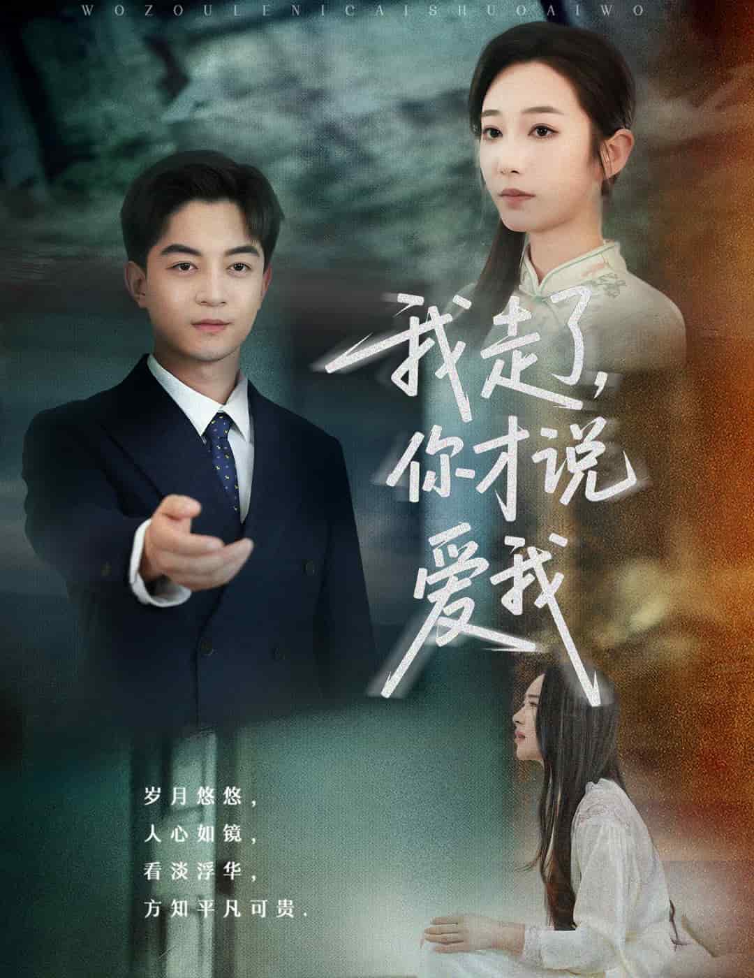 我走了你才说爱我第1集