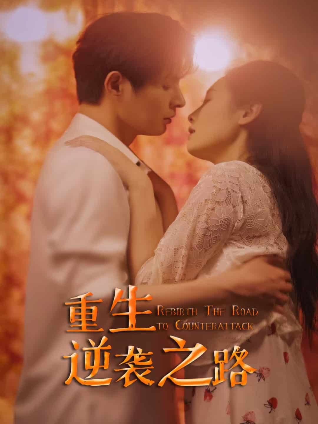 重生逆袭之路第46集