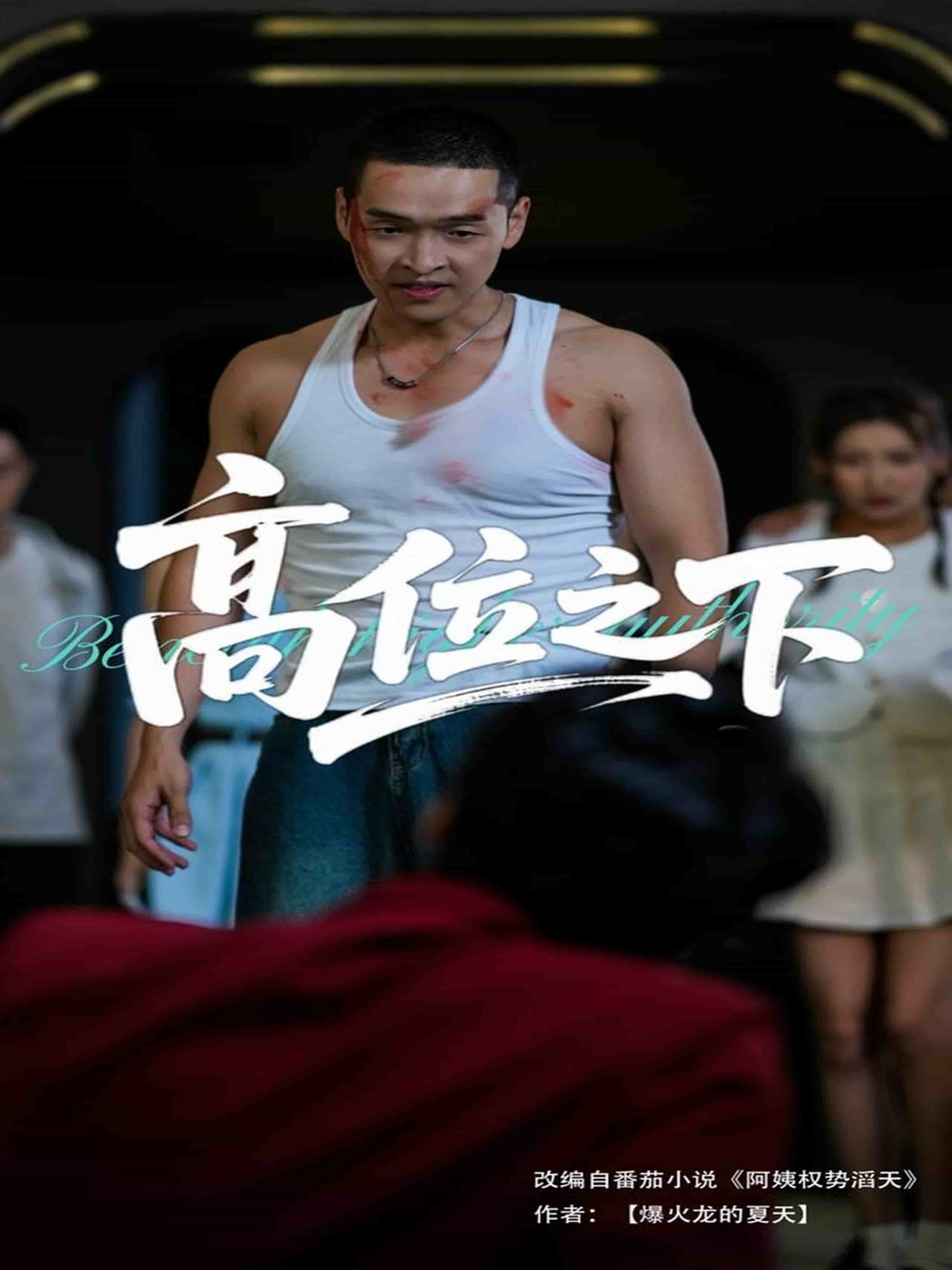 高位之下第1集