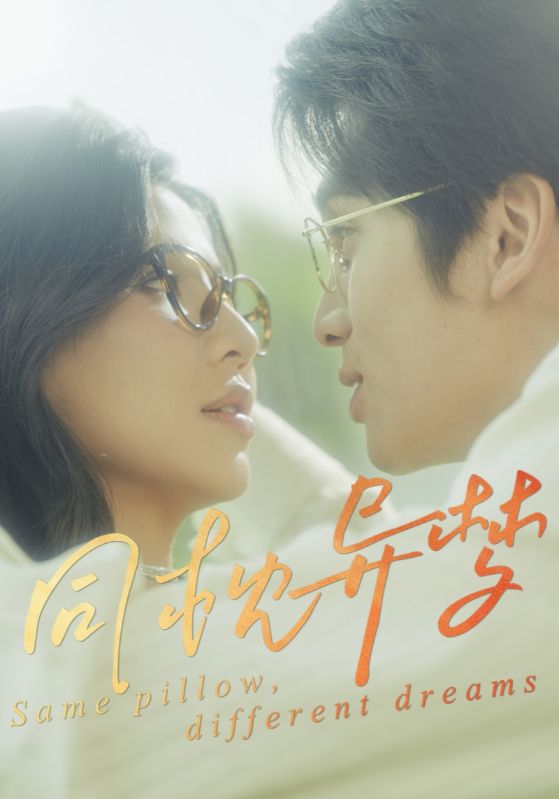 同枕异梦第8集