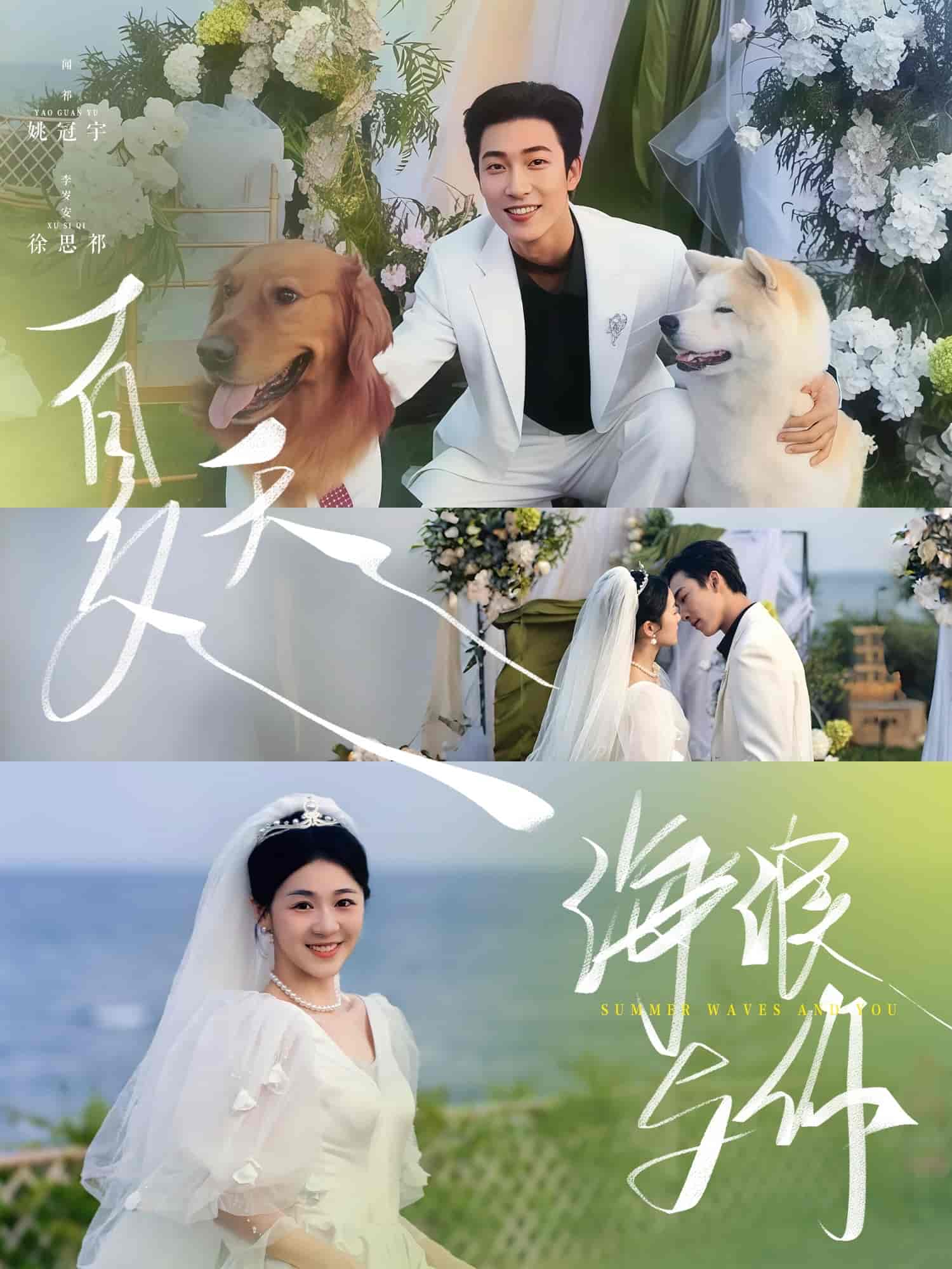 夏天，海浪与你第1集