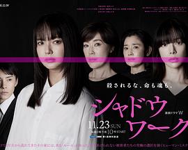 影子工作第04集