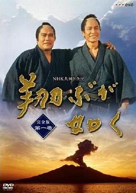 宛如飞翔第40集
