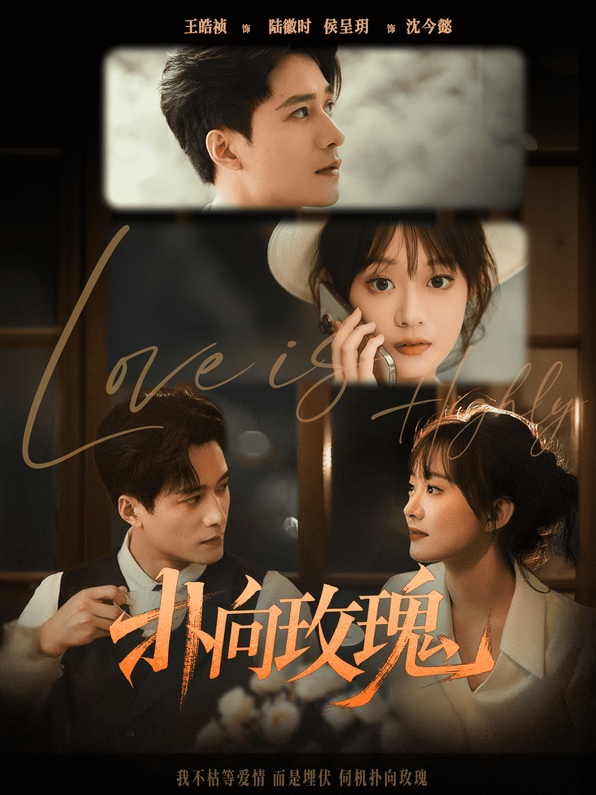 扑向玫瑰第1集