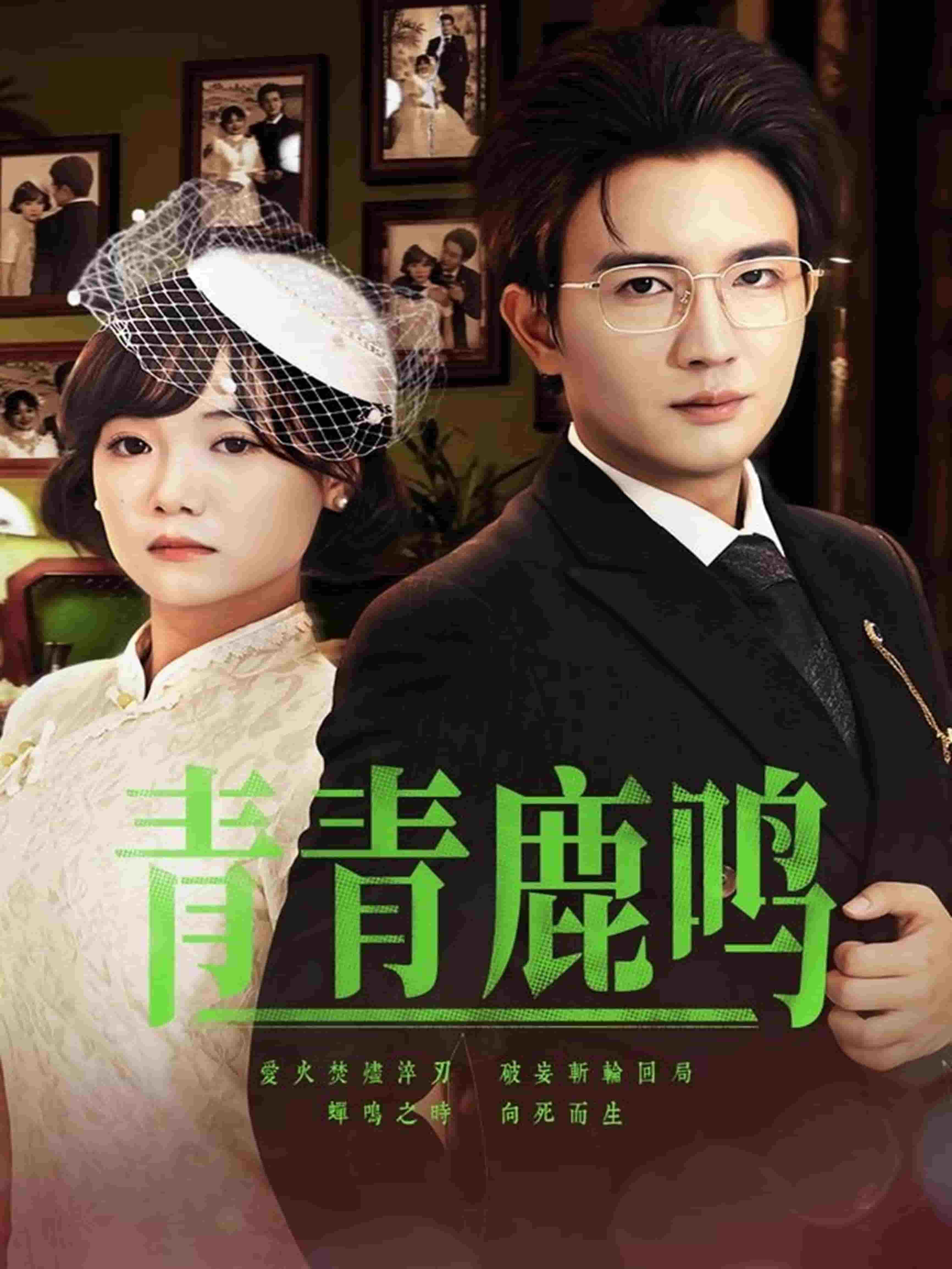 青青鹿鸣第55集
