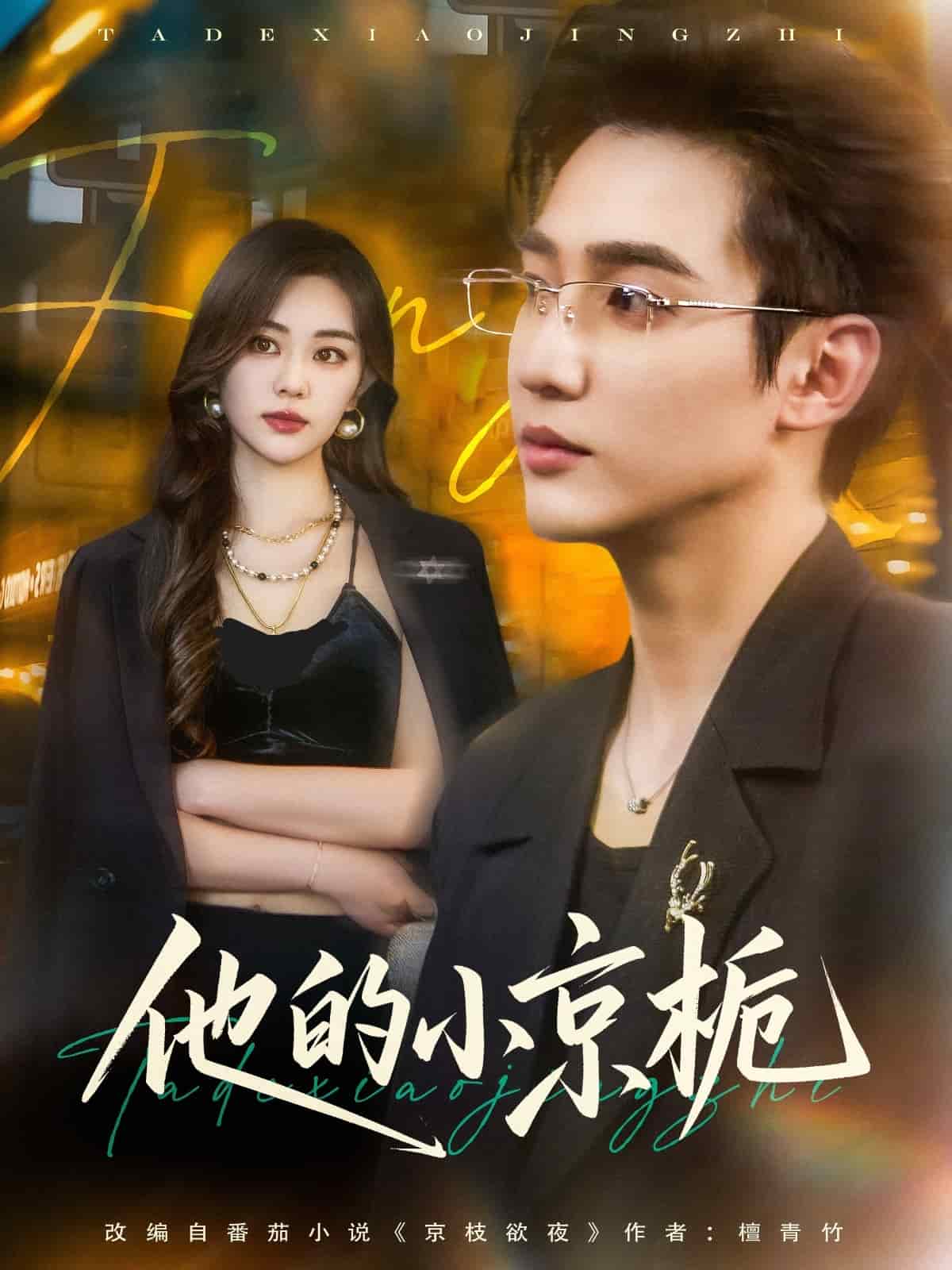 他的小京栀第46集