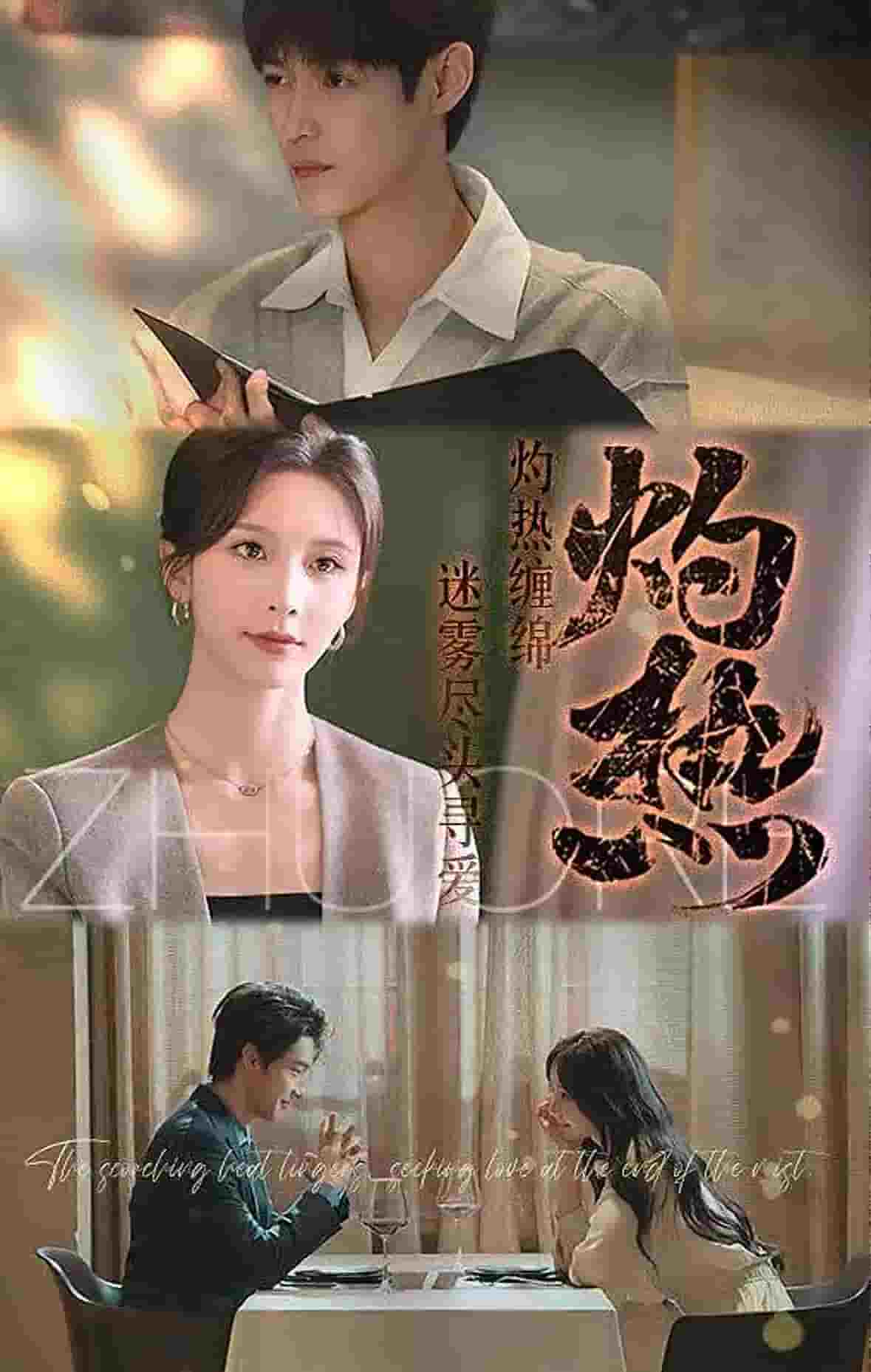 灼热（短剧版）第39集