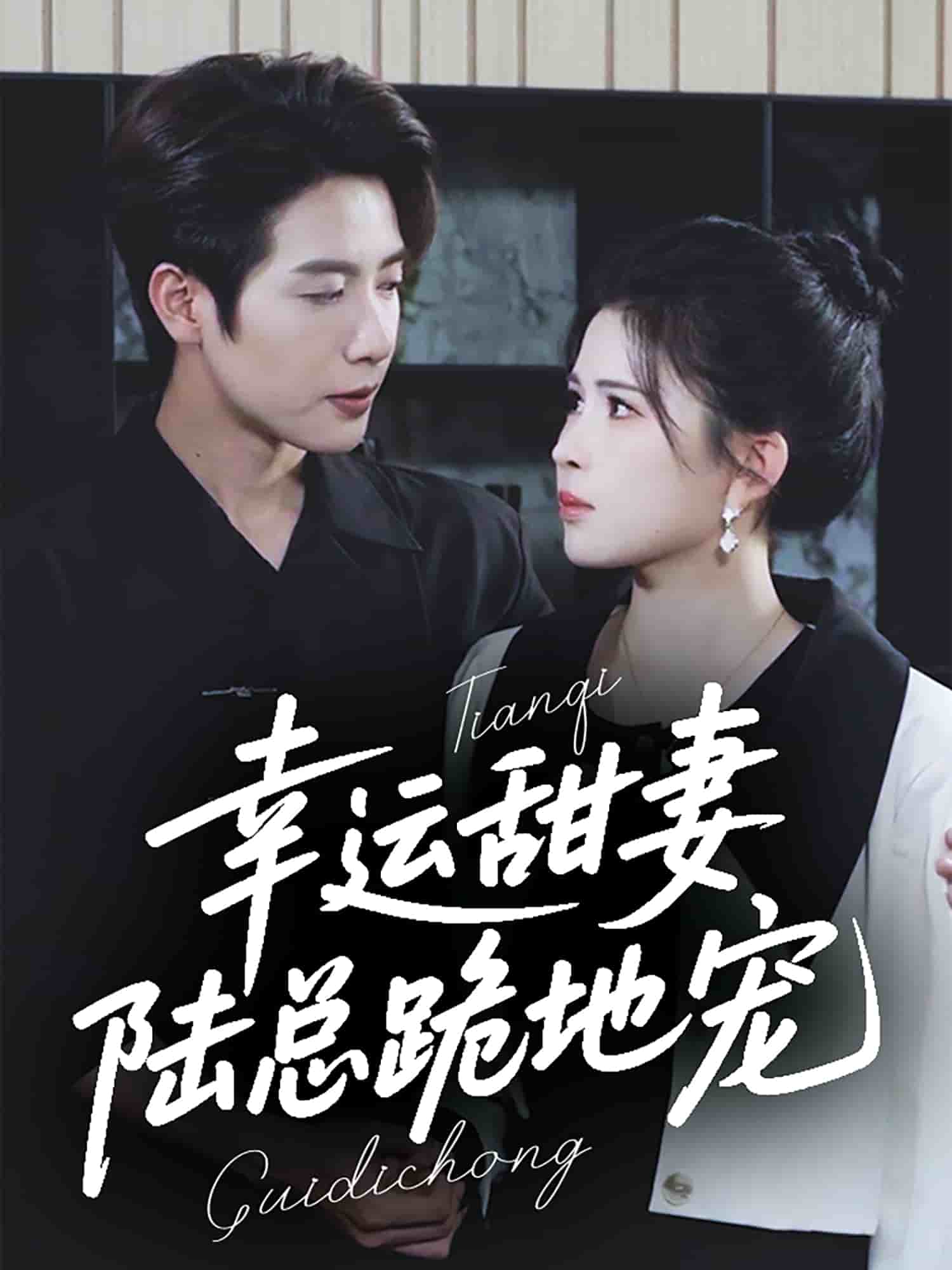 幸运甜妻，陆总跪地宠第32集