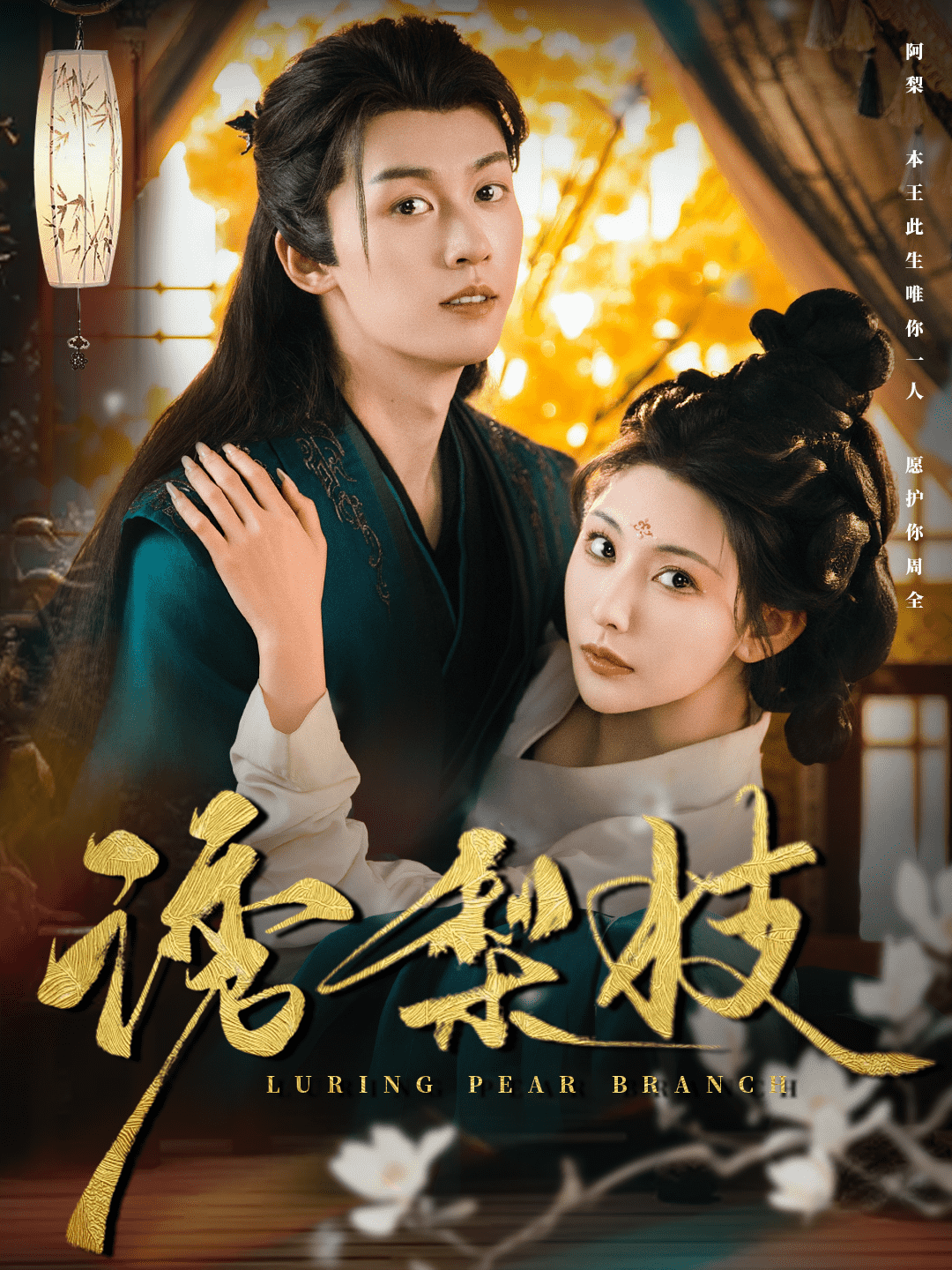 诱梨枝第24集