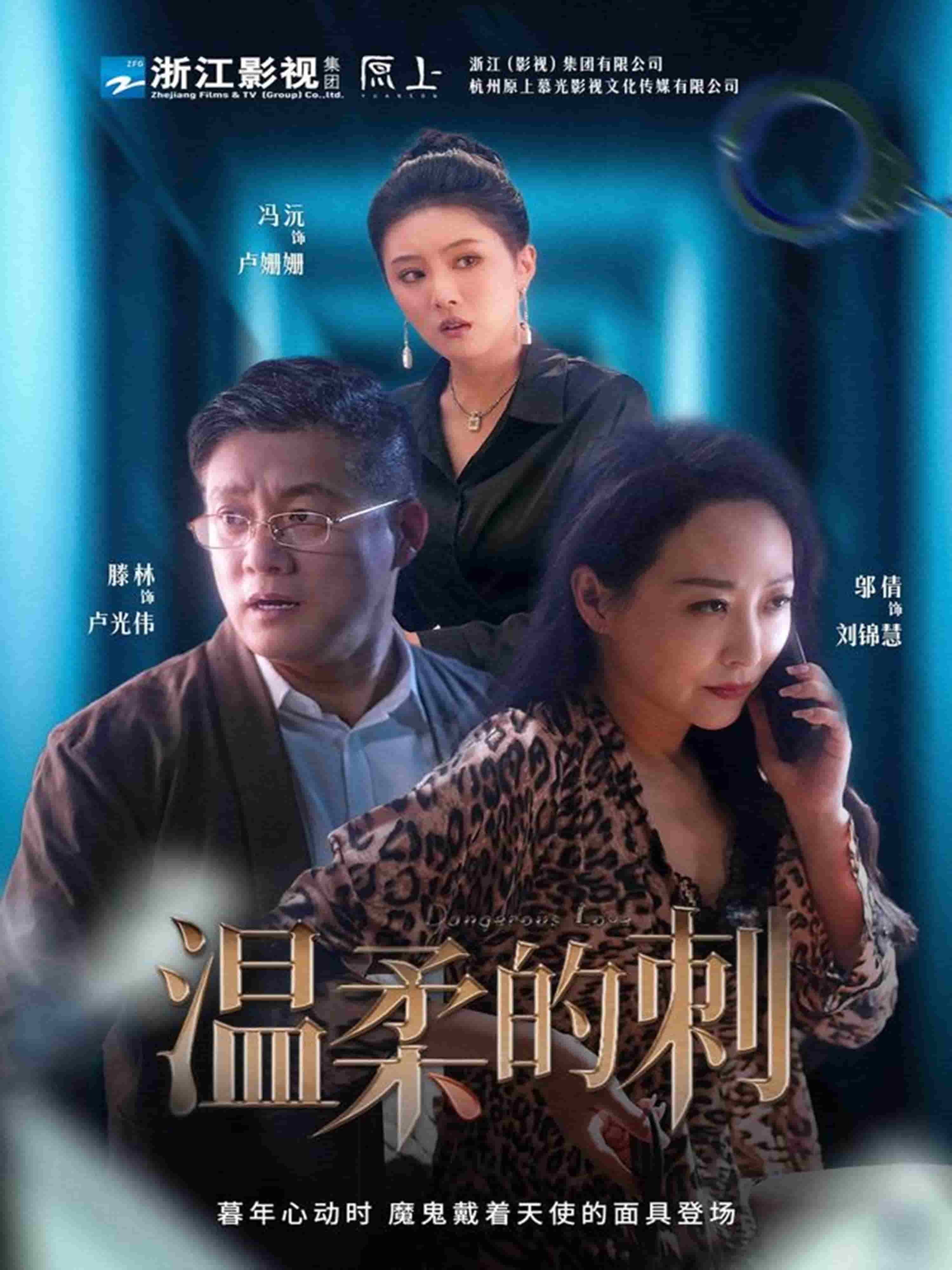 温柔的刺第3集