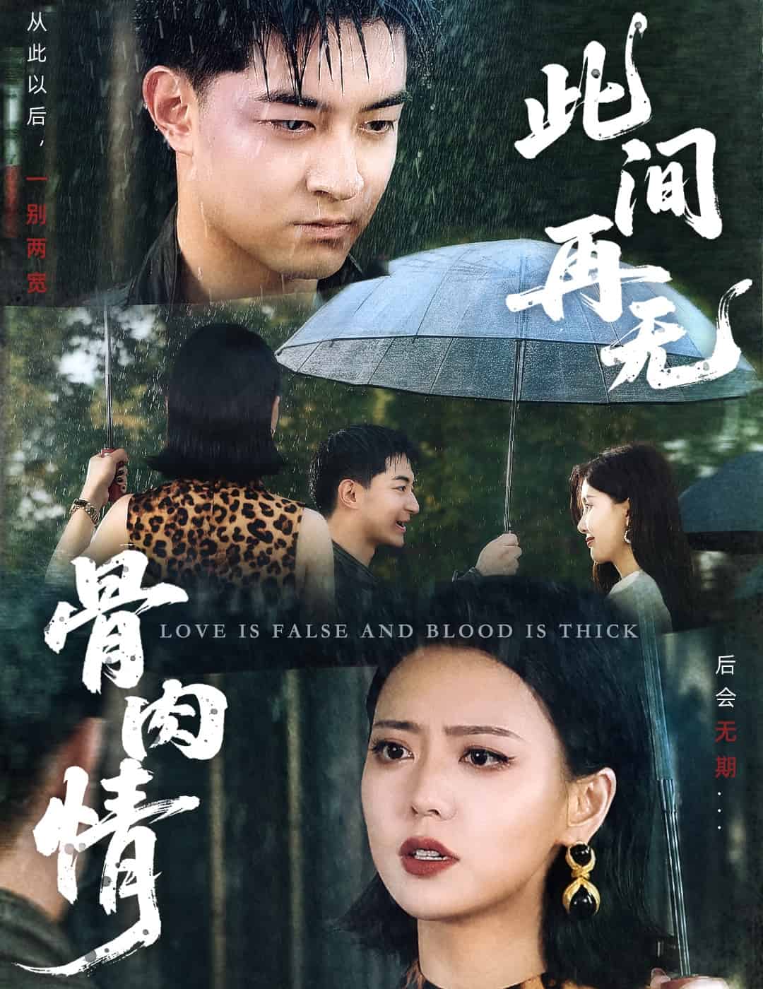 此间再无骨肉情第22集
