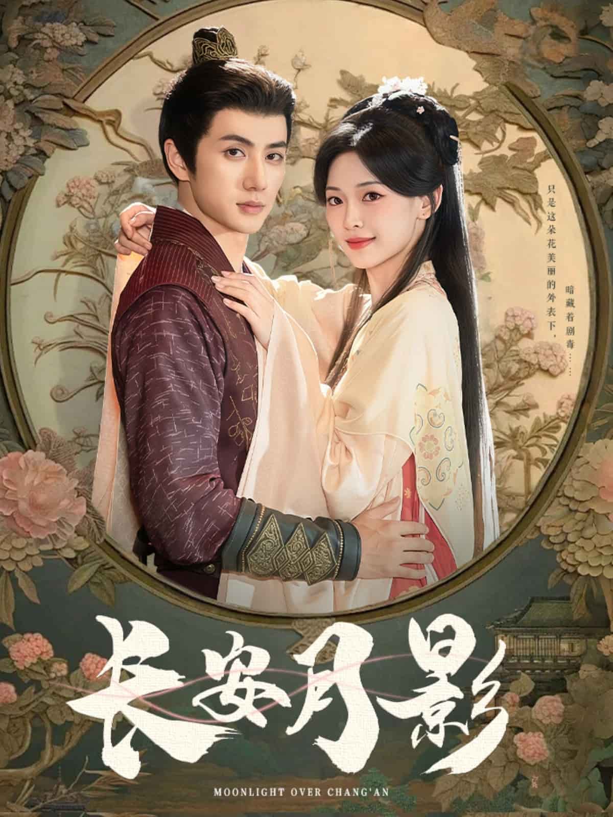 长安月影第17集
