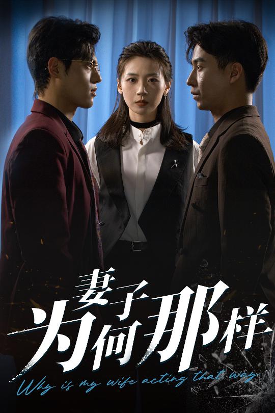 妻子为何那样第01集