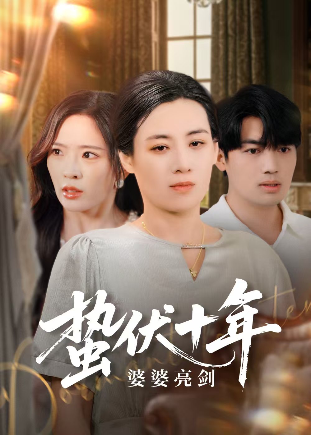 蛰伏十年婆婆亮剑第01集