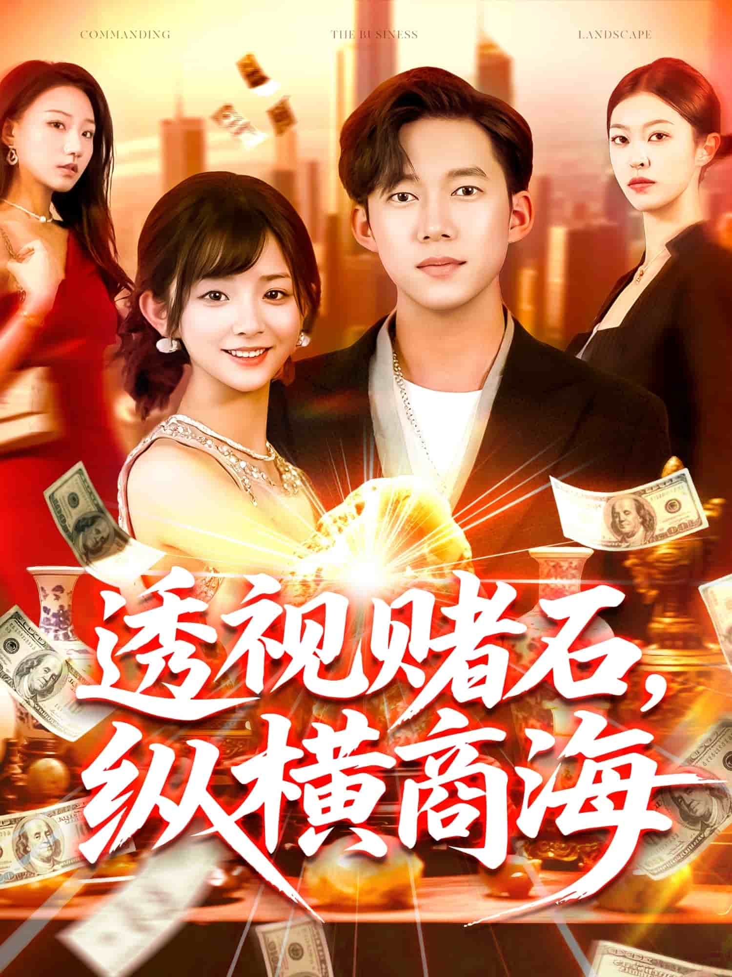 透视赌石，纵横商海第67集