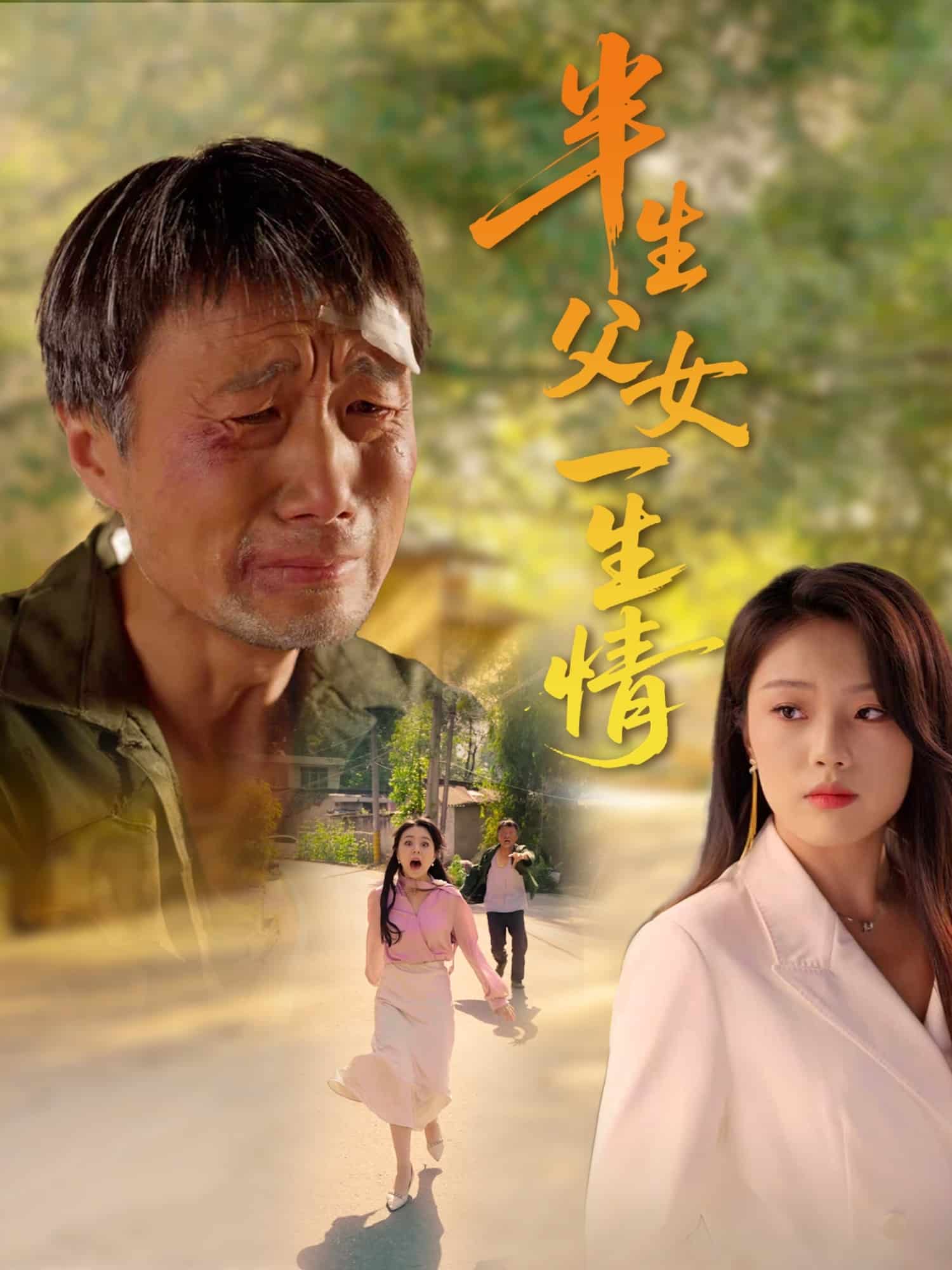 半生父女一生情第1集