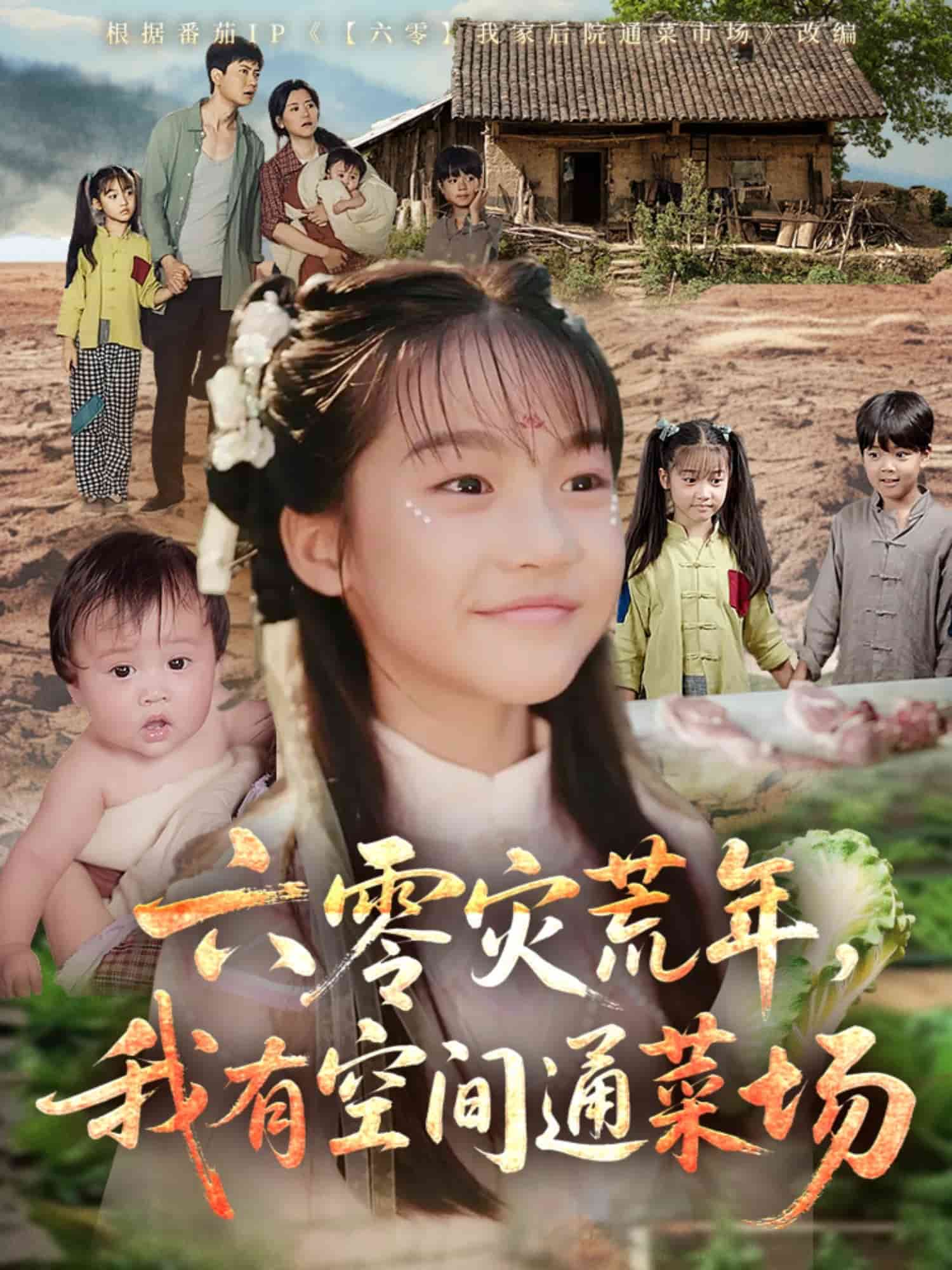 六零灾荒年，我有空间通菜场第4集