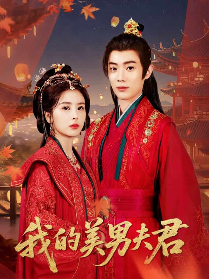 我的美男夫君第17集