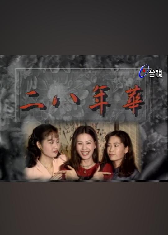 二八年华第22集