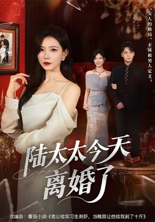 陆太太今天离婚了第50集