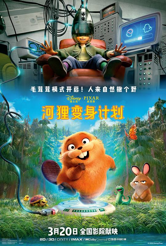 河狸变身计划HD国语