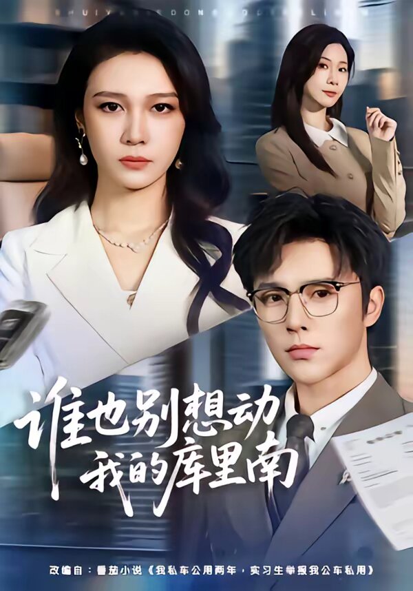谁也别想动我的库里南第24集