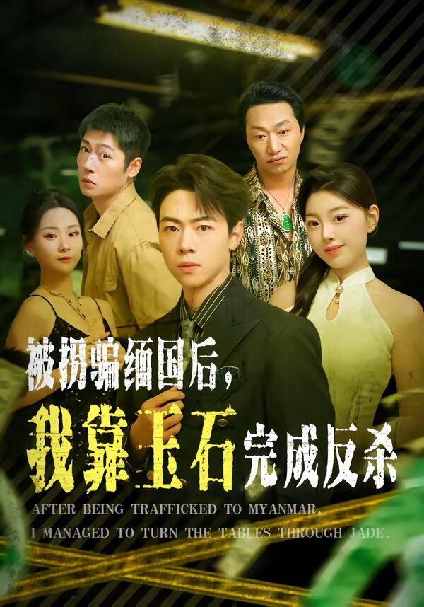 被拐骗缅国后，我靠玉石完成反杀第28集