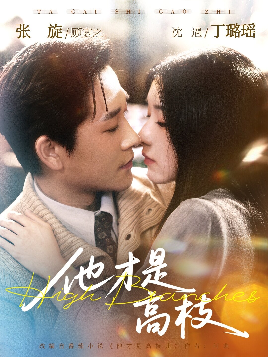 他才是高枝第01集