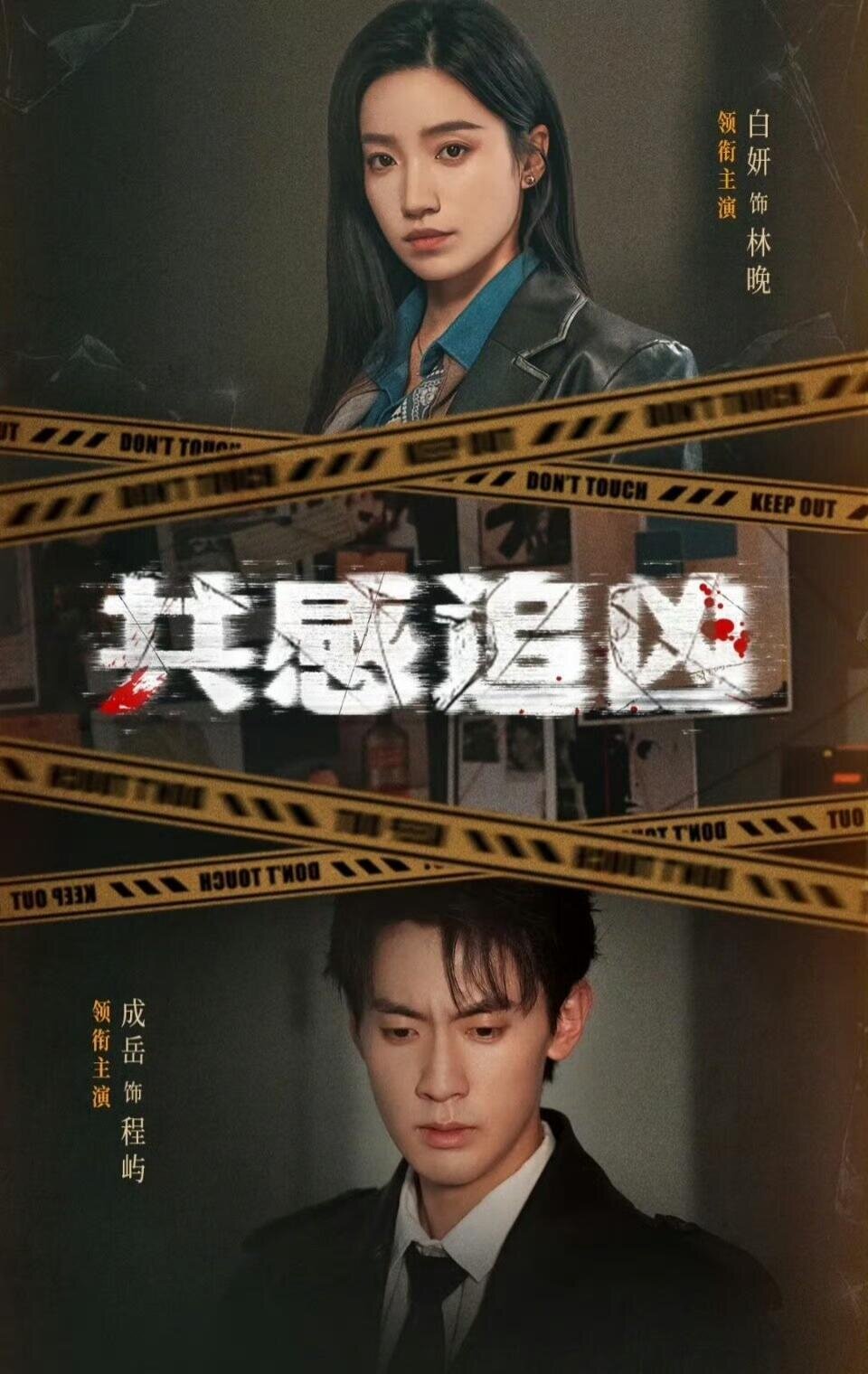 共感追凶第45集