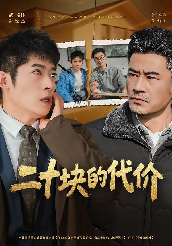 二十块的代价全集(大结局)